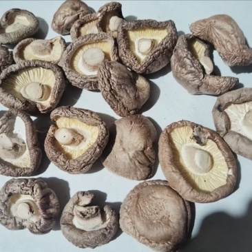 陕西汉中干香菇大量供应一手货源品质保证诚信经营