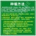 高产大牛角椒苗辣椒秧苗牛角尖椒蔬菜苗羊角辣椒微辣辣椒秧苗