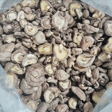 陕西汉中宁强县干香菇大量供应品质保证一手货源诚信