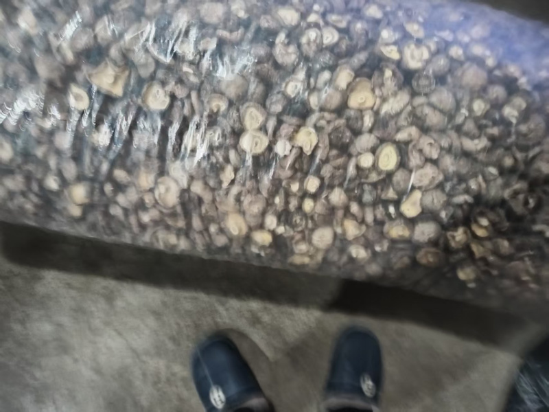 陕西干香菇大量供应诚信经营品质保证欢迎来电洽谈