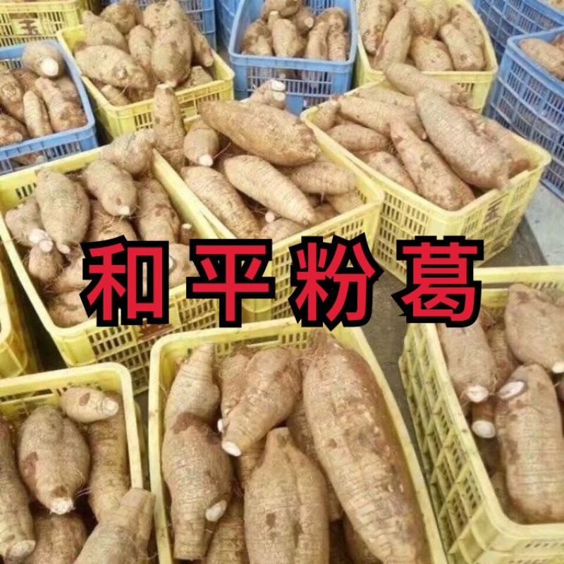 葛根粉葛粉葛根广西藤县产地一手货源大量供应可视频