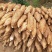 葛根粉葛粉葛根广西藤县产地一手货源大量供应可视频