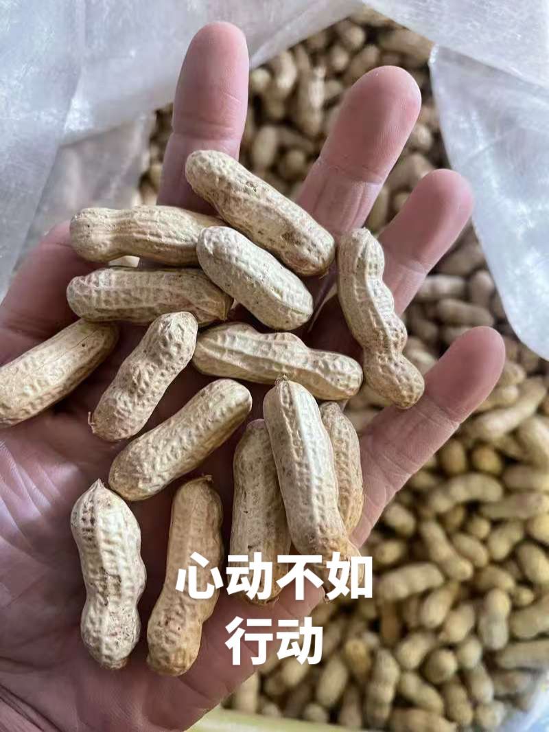 四粒红干花生
