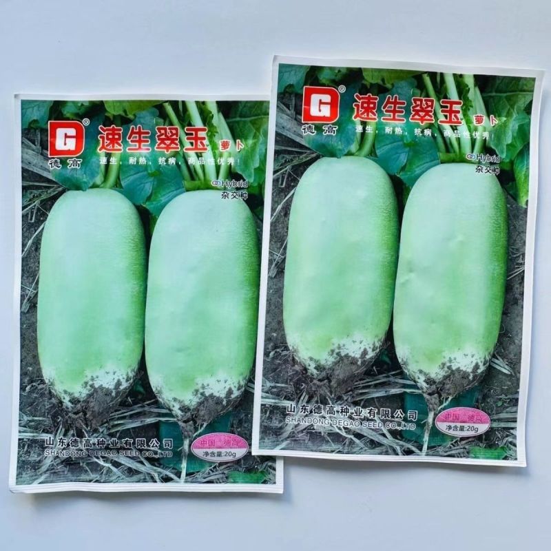 德高萝卜种子正品水果萝卜种子甜脆多汁爽口根形好高产青皮