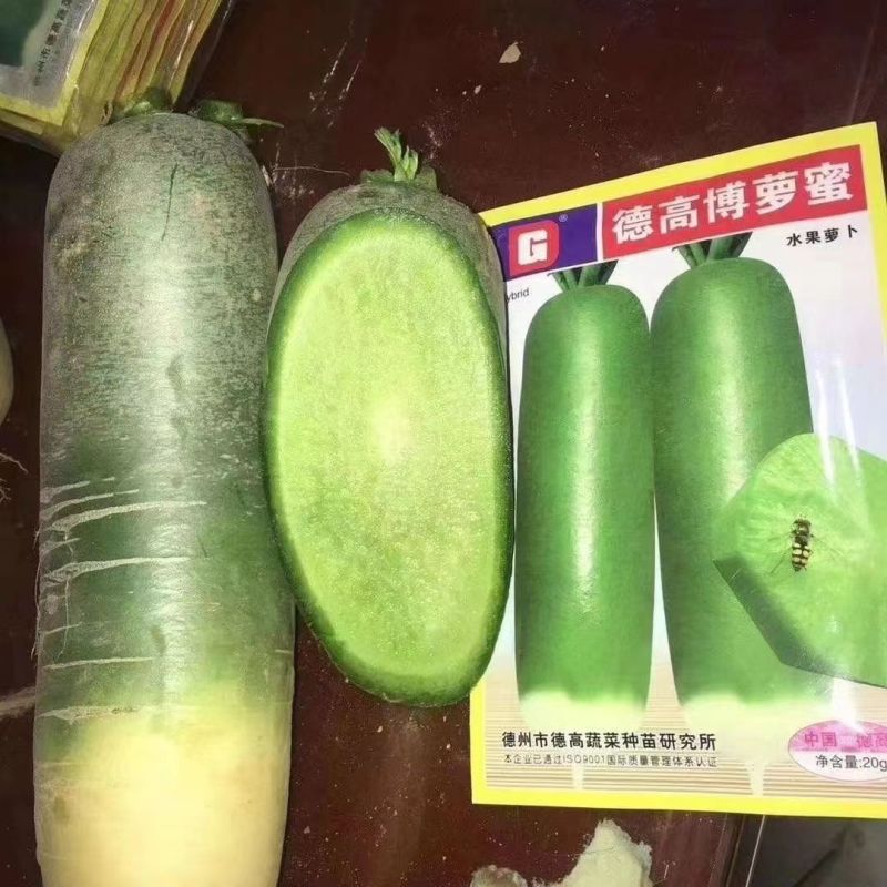 德高萝卜种子正品水果萝卜种子甜脆多汁爽口根形好高产青皮