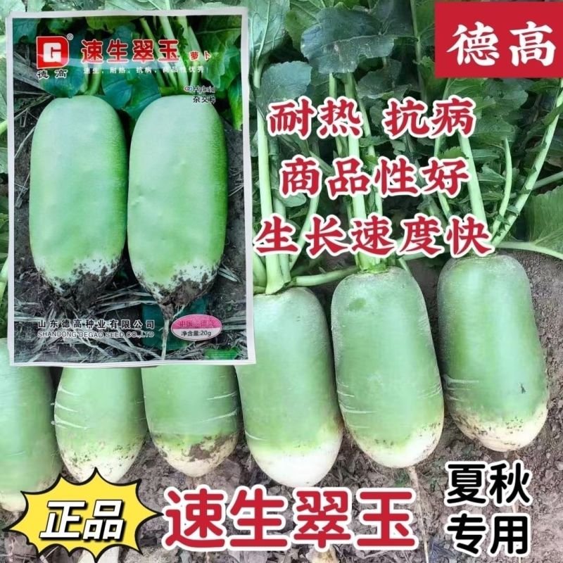 德高萝卜种子正品水果萝卜种子甜脆多汁爽口根形好高产青皮