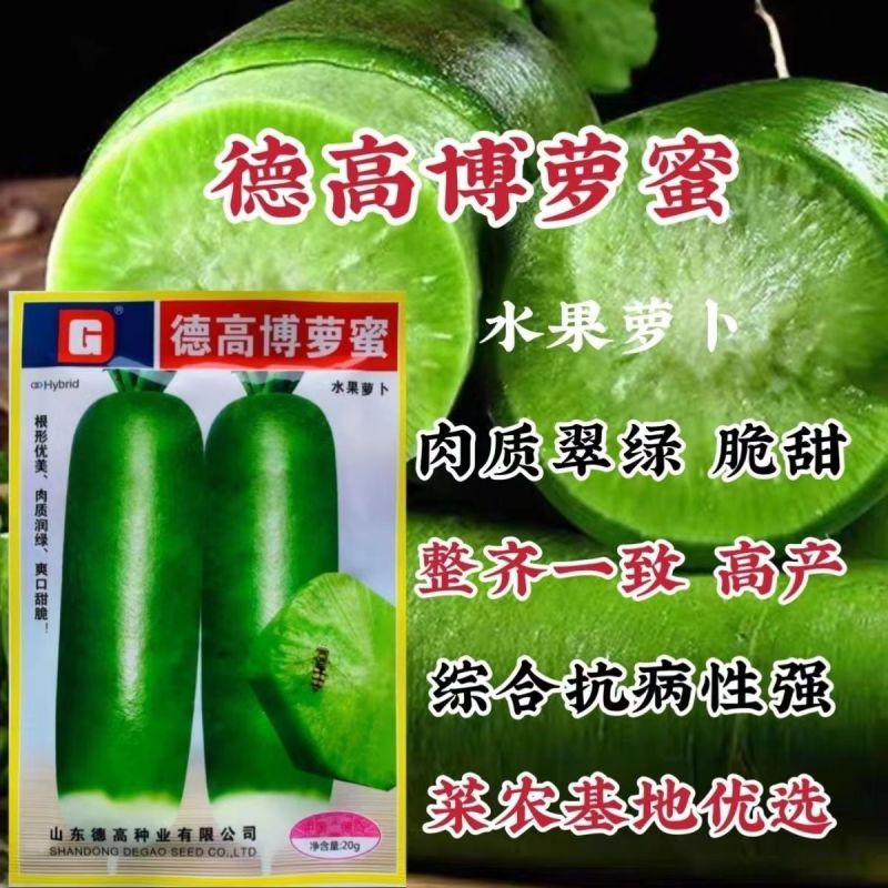 德高萝卜种子正品水果萝卜种子甜脆多汁爽口根形好高产青皮
