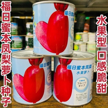 高端凤梨水果萝卜种子酥脆多汁味甜紫红皮紫肉大田种植高产