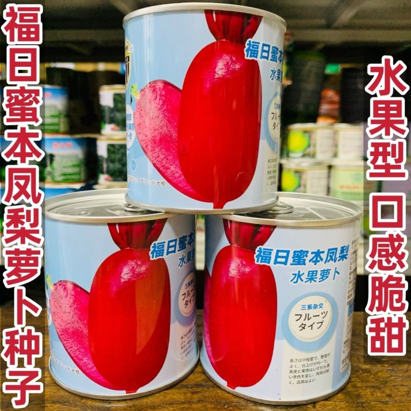 高端凤梨水果萝卜种子酥脆多汁味甜紫红皮紫肉大田种植高产