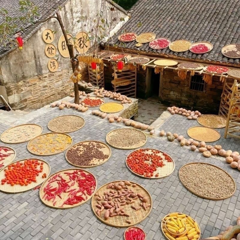 手工编织竹制品圆形无孔家用农村簸箕绘画装饰晾晒筛子家