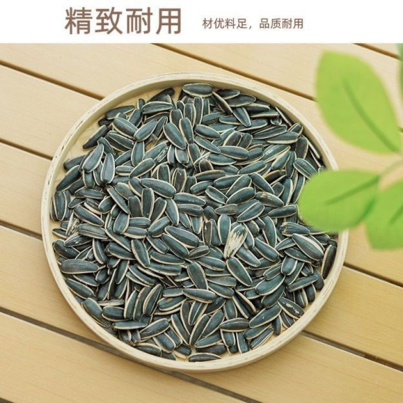 手工编织竹制品圆形无孔家用农村簸箕绘画装饰晾晒筛子家