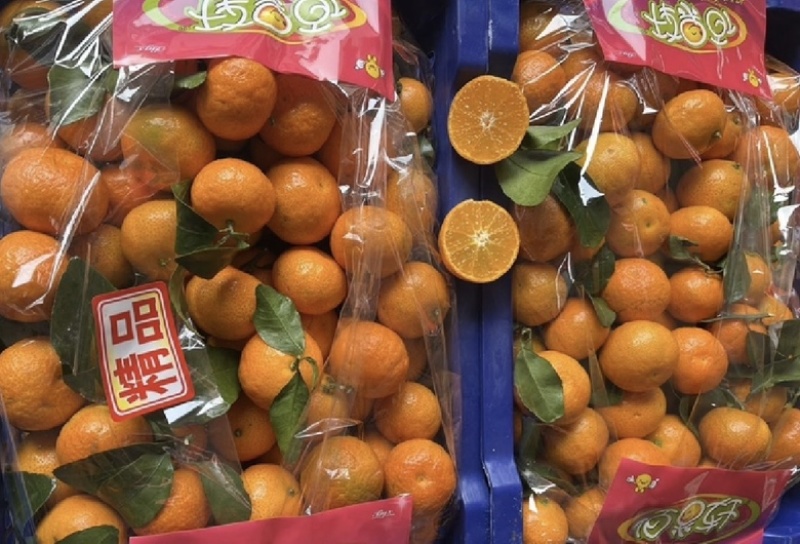 广西砂糖橘，产地一手货源，薄皮多汁，对接全国商超老板