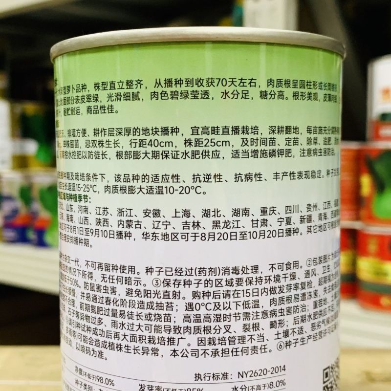 一代杂交青皮青肉水果萝卜种子脆甜多汁长萝卜种子沙窝萝卜