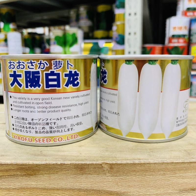 正品白萝卜种籽耐裂果不易糠心白萝卜种子高产皮光滑须少基地
