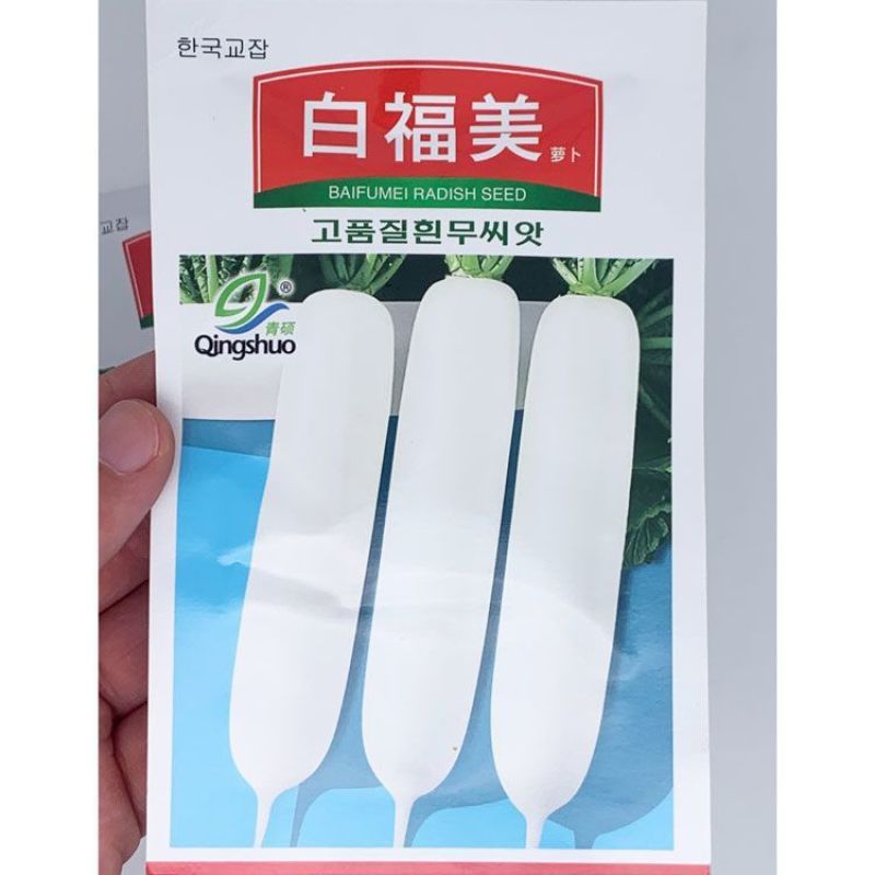 正品白萝卜种籽耐裂果不易糠心白萝卜种子高产皮光滑须少基地