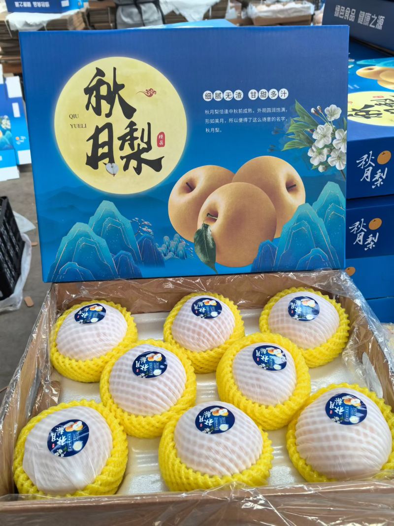 秋月梨产地直供各种规格支持定制等级分明量大优惠