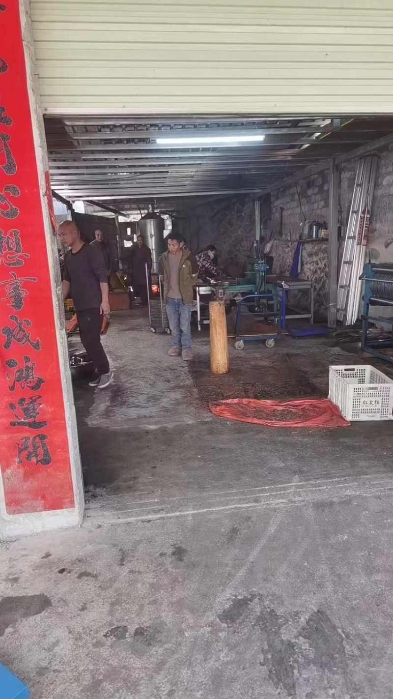 山茶籽，保质保量，量大价优，产地直发，欢迎各位咨询