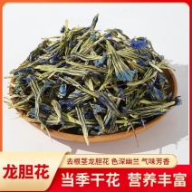 去根龙胆花大货批发