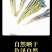 去根龙胆花大货批发