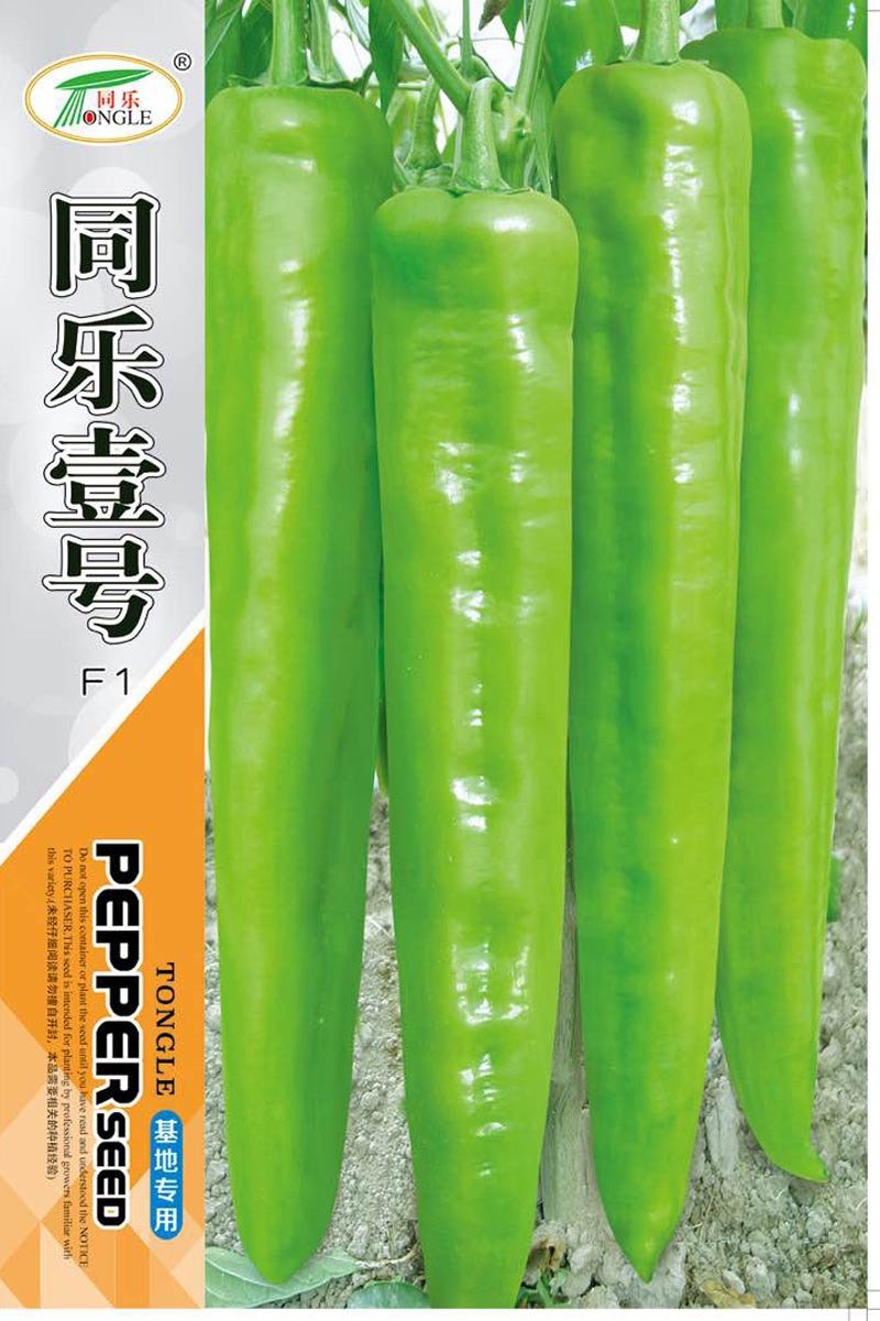同乐壹号黄皮大椒黄皮尖椒种子