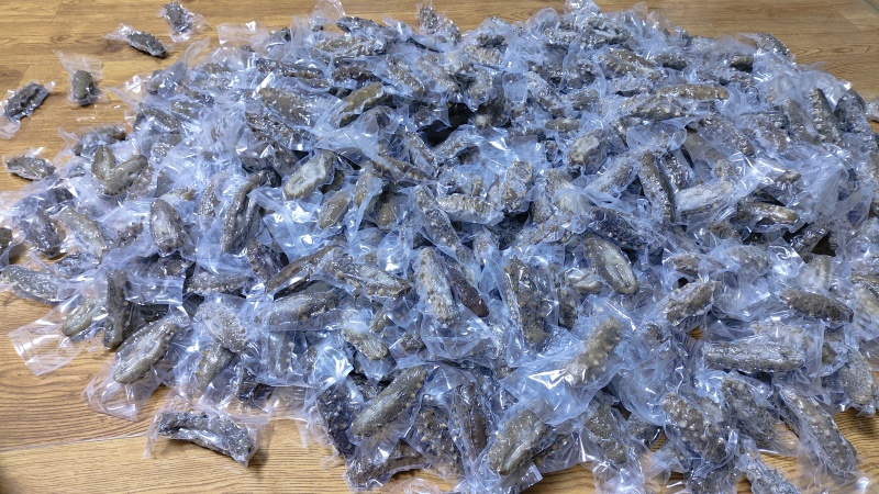 即食海参