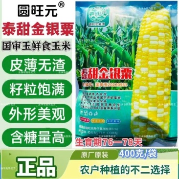 泰甜金银粟玉米种子皮薄无渣水果玉米种子含糖高双色水果玉米