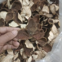 广西浦北陈皮冬后大红皮3年老陈皮