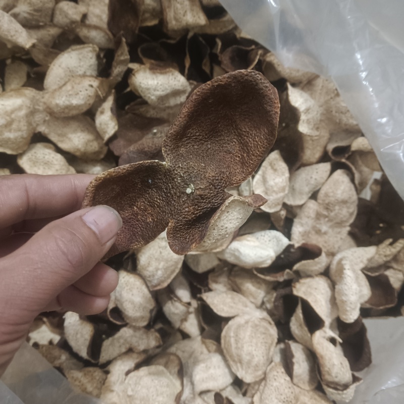 广西浦北陈皮冬后大红皮3年老陈皮
