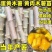 【无毒易成活】正宗广西华南九号黄心木薯苗优选9号黄肉木薯