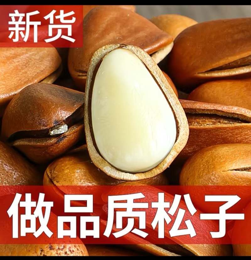 三成仁精品空壳