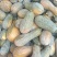 南瓜