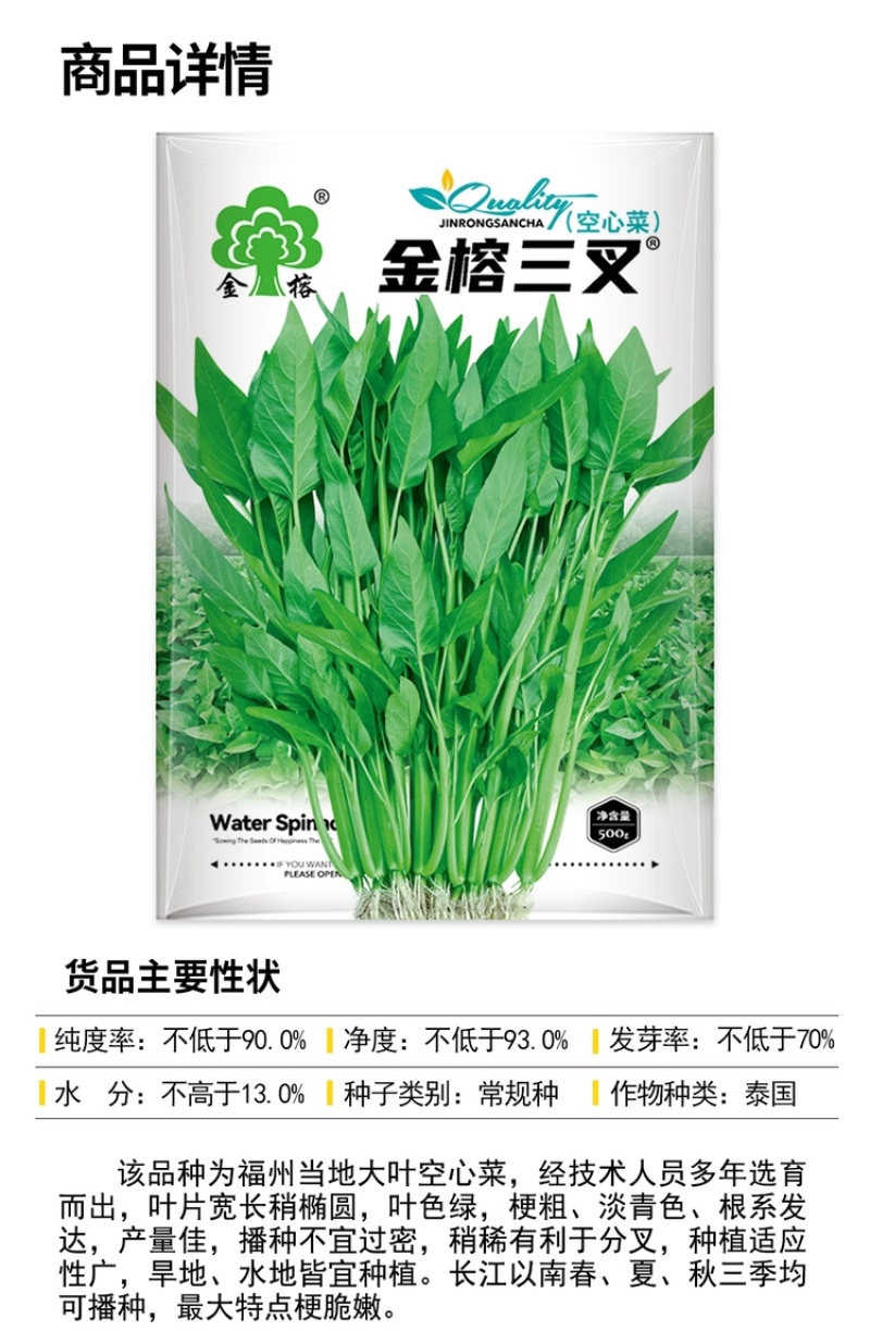 【热卖】柳叶骨叶三叉空心菜种子500克欢迎电联