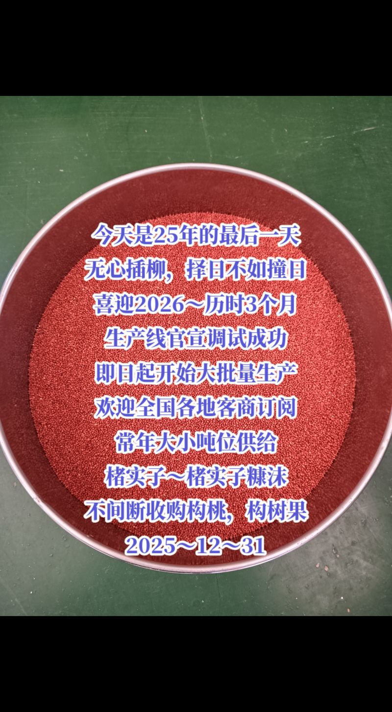 河南楮实子/野生无硫/加工厂一手货源/产地直发/一件代发