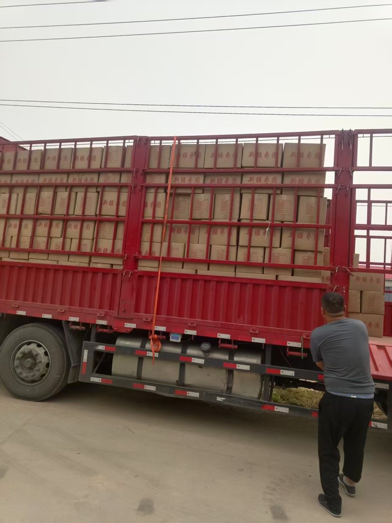 精品枣圈货源充足量大从优质量保证诚信经营欢迎咨询