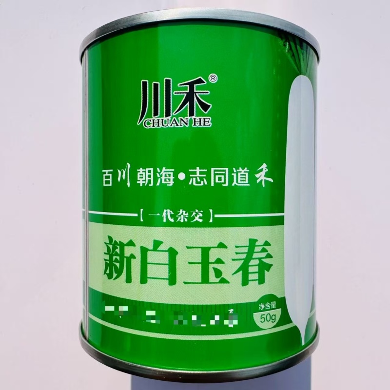 新白玉春萝卜种子果型顺直皮白光滑春秋播种不易糠心大田基地