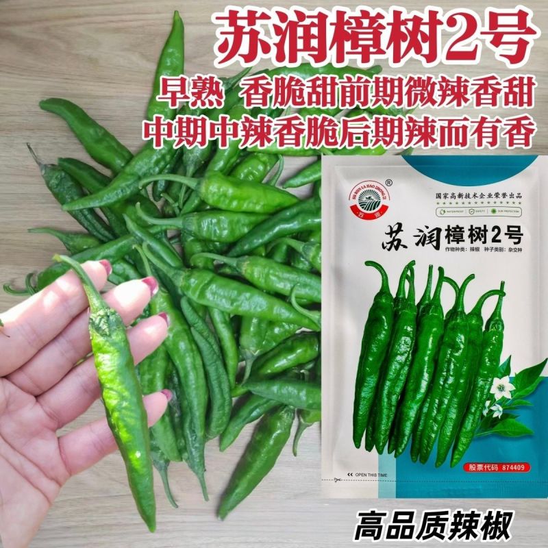 苏润樟树2号青椒种籽早熟高产抗病香辣湖南地方品种青椒种籽