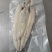 开背进口冰岛北极鳕鱼