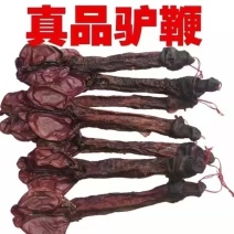 正品驴鞭中药材干货滋补养生单支200g-500g规格齐全