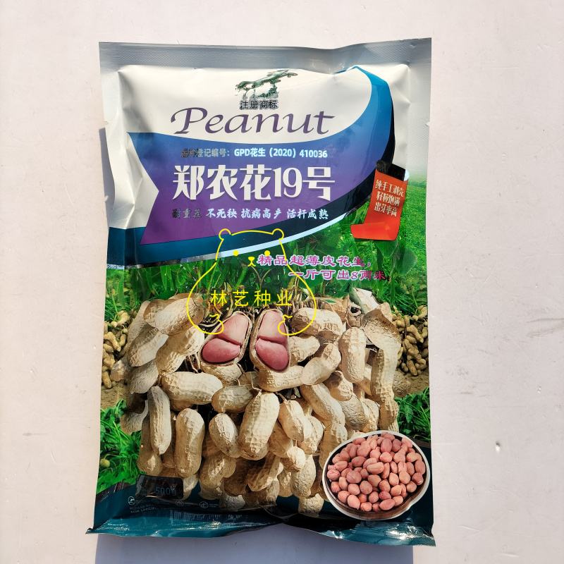 郑农花19号薄皮花生种子耐重茬抗病高产油食两用型花生