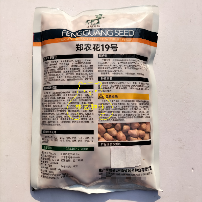 郑农花19号薄皮花生种子耐重茬抗病高产油食两用型花生