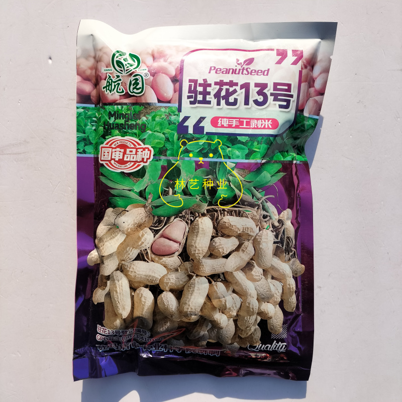 航园驻花13号花生种子纯手工剥米高产耐寒耐旱原装正品花生