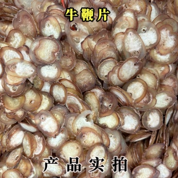 牛鞭片中药材正品保证规格齐全，泡酒煲汤，滋补养生