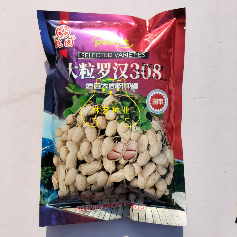 大粒罗汉308花生种子高油纯手工去壳净籽白沙罗汉果花生米