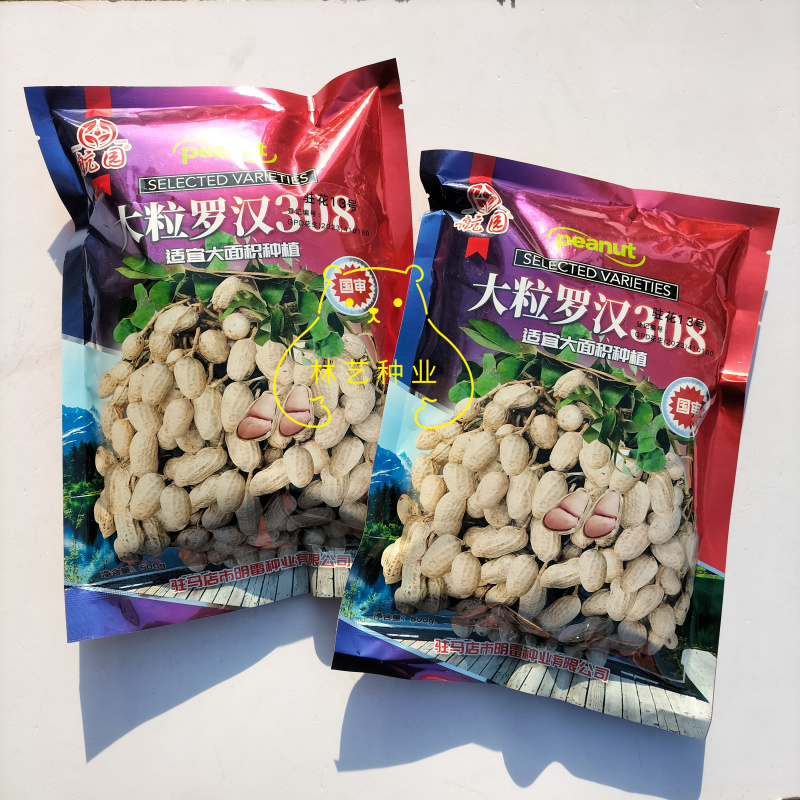 大粒罗汉308花生种子高油纯手工去壳净籽白沙罗汉果花生米