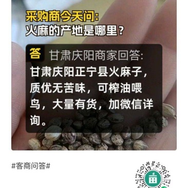 火麻子颗粒饱满，