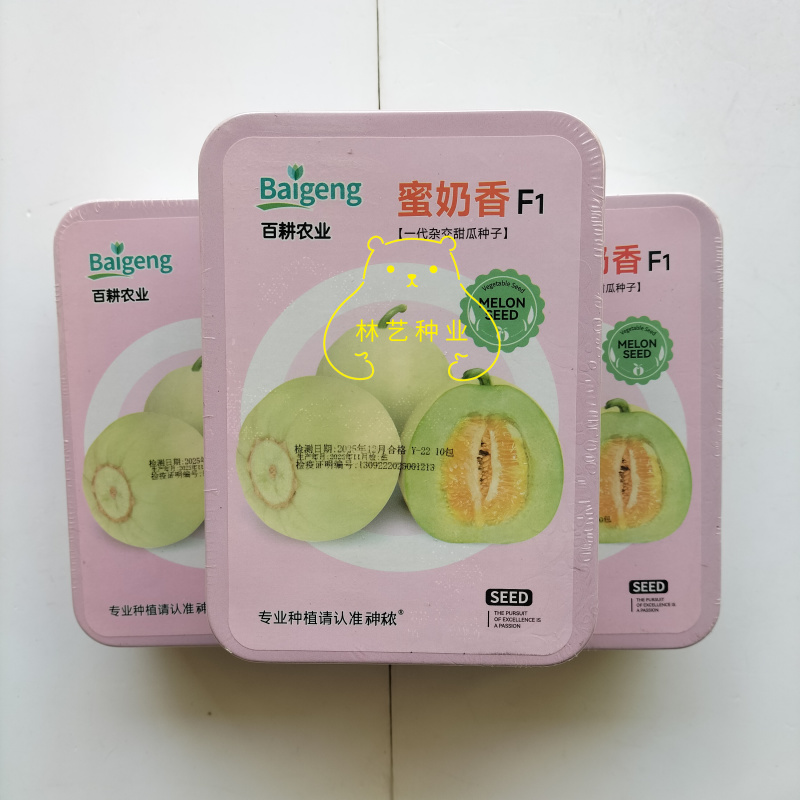 蜜奶香甜瓜种子杂交一代白绿微黄皮甜宝籽高产糖度高大田种