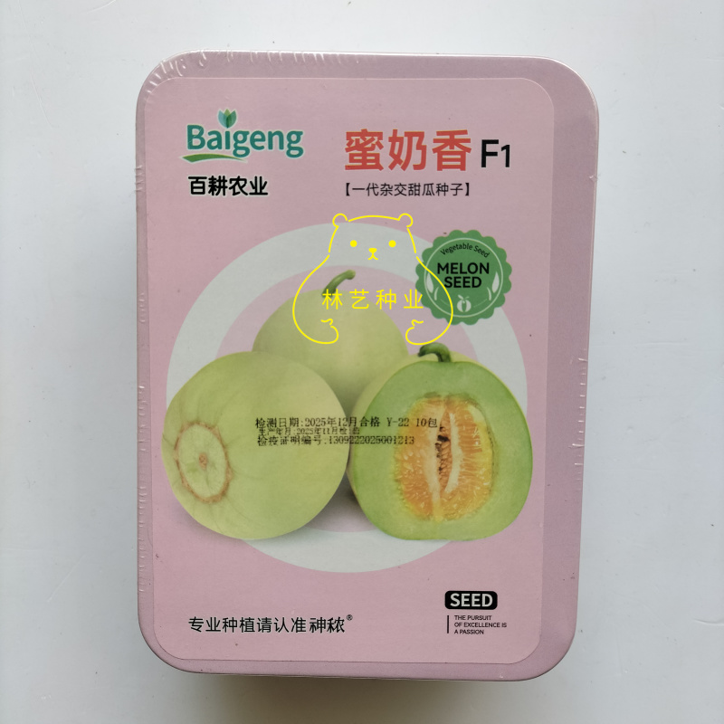 蜜奶香甜瓜种子杂交一代白绿微黄皮甜宝籽高产糖度高大田种