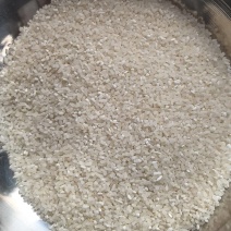 缅甸碎米杜卡碎米食品厂专用碎米米线米锅巴米饼米糕专用碎米