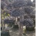 红花继木造型桩，地址广西桂林阳朔县，阳朔县兴园苗木种植场