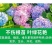 进口硅钙镁降盐调酸消绿苔松土生根补土壤调理剂中量元素水溶